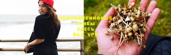 марки lsd Вяземский