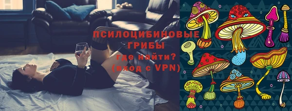 метадон Горняк