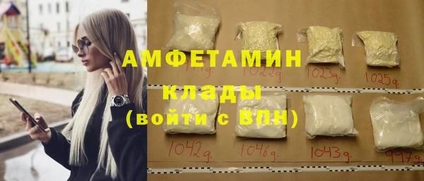 индика Горно-Алтайск